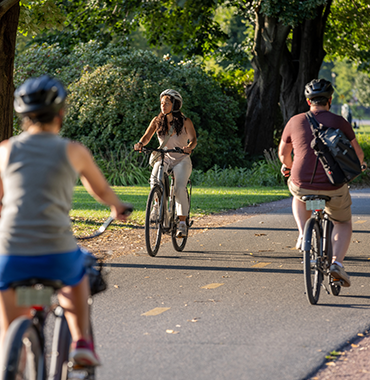 Three cyclists ride on a paved path through a leafy park. In the foreground, the back of a person on a bike is visible, while two cyclists ride towards the camera. Tall trees and lush greenery surround the path. All cyclists are wearing helmets and casual attire.